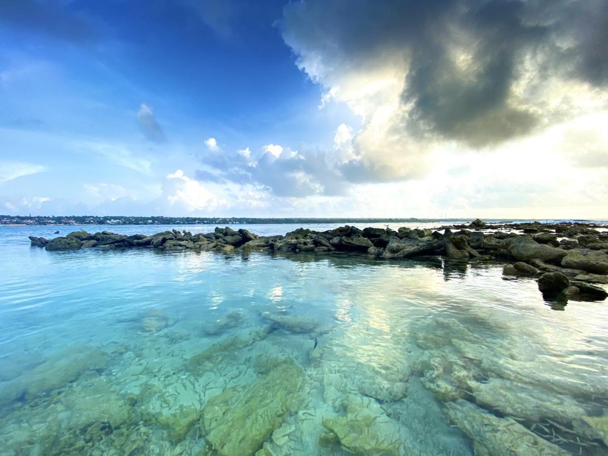 Le Paradis Zen 1Er Etage Et Rdc Vue Plage Et Mer Ste Anne Sainte-Anne  Dış mekan fotoğraf