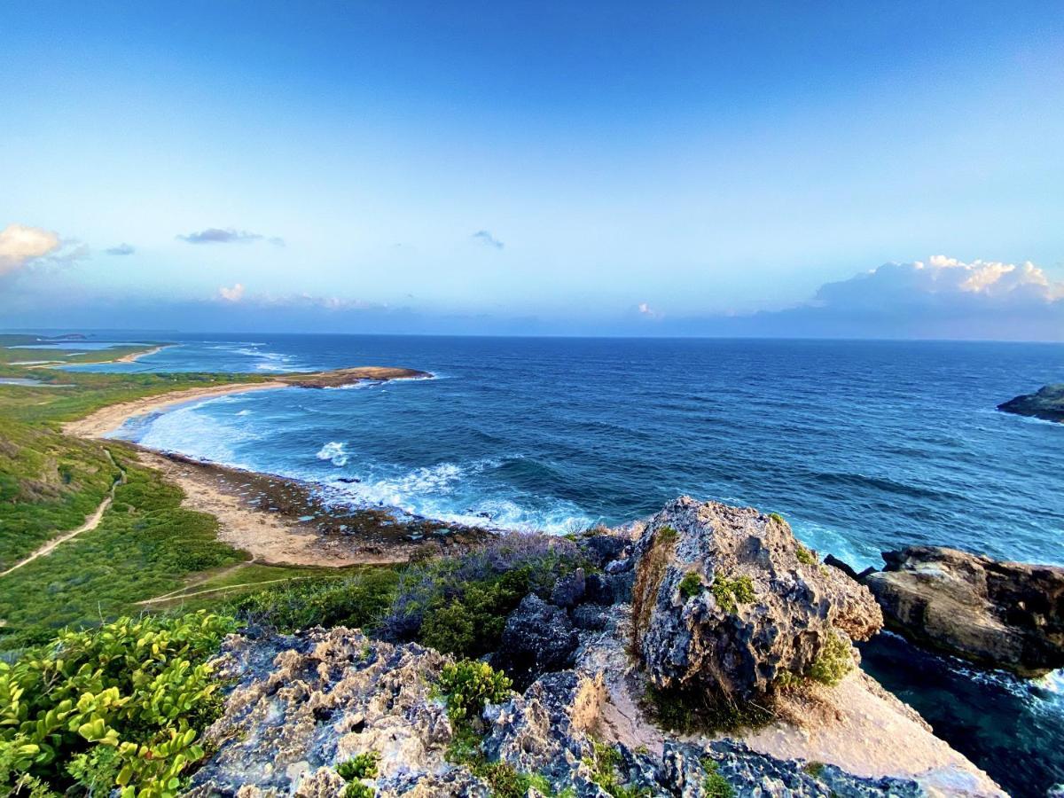 Le Paradis Zen 1Er Etage Et Rdc Vue Plage Et Mer Ste Anne Sainte-Anne  Dış mekan fotoğraf