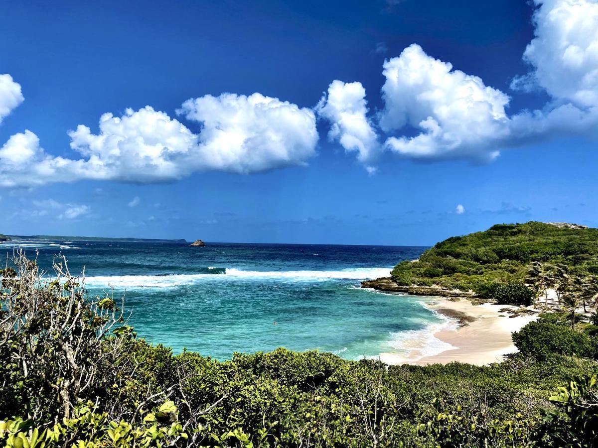 Le Paradis Zen 1Er Etage Et Rdc Vue Plage Et Mer Ste Anne Sainte-Anne  Dış mekan fotoğraf