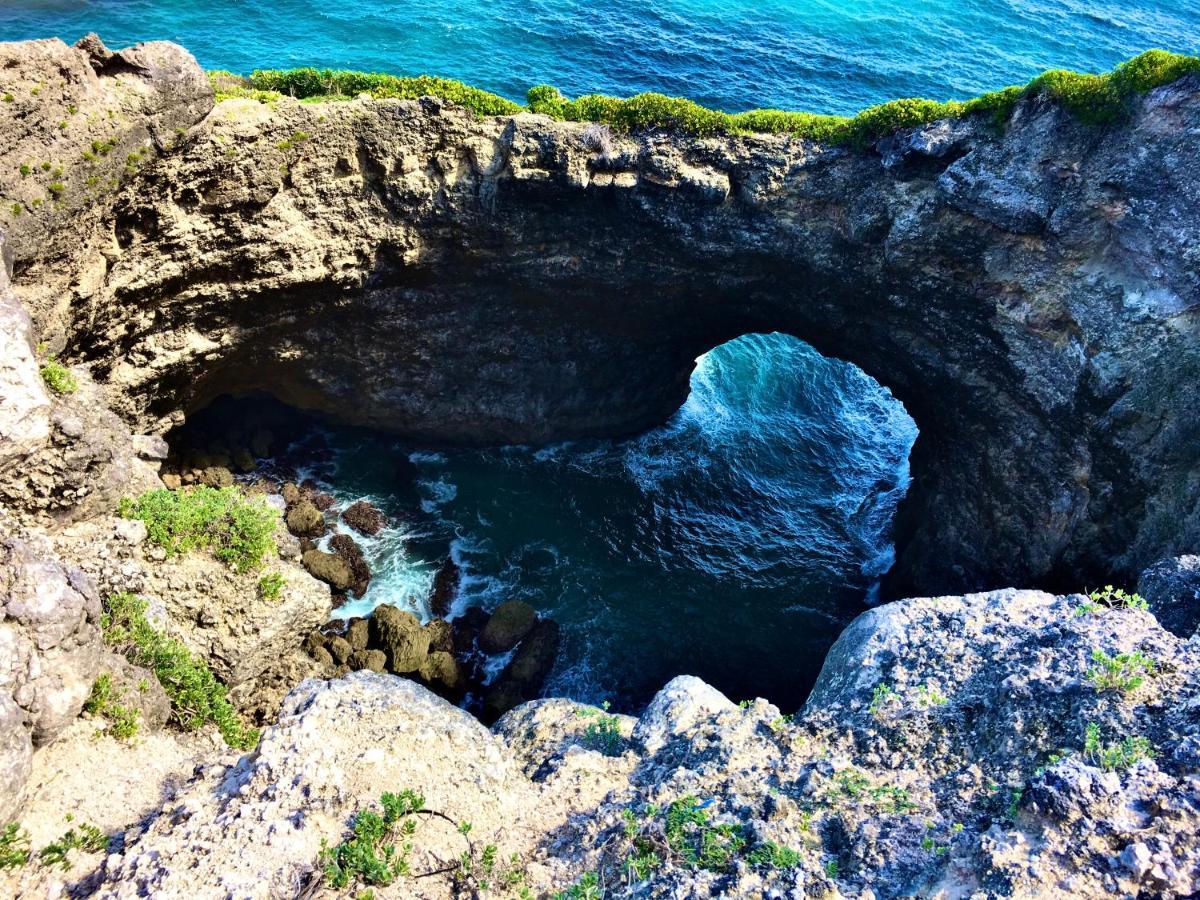 Le Paradis Zen 1Er Etage Et Rdc Vue Plage Et Mer Ste Anne Sainte-Anne  Dış mekan fotoğraf