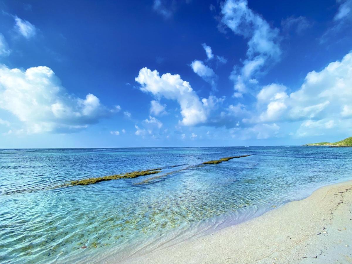 Le Paradis Zen 1Er Etage Et Rdc Vue Plage Et Mer Ste Anne Sainte-Anne  Dış mekan fotoğraf