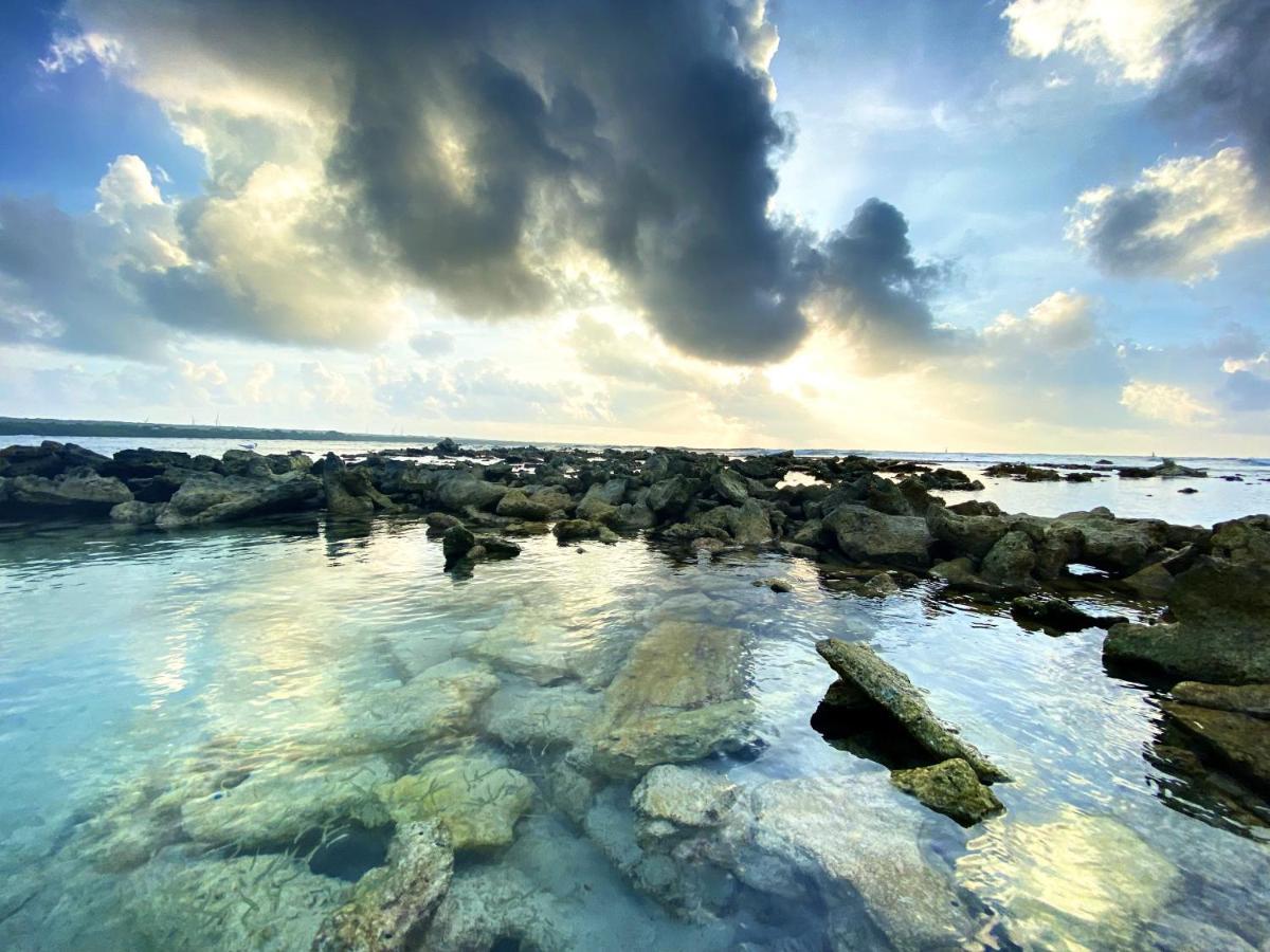 Le Paradis Zen 1Er Etage Et Rdc Vue Plage Et Mer Ste Anne Sainte-Anne  Dış mekan fotoğraf