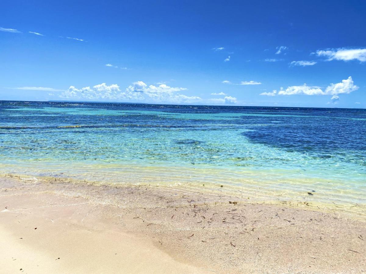 Le Paradis Zen 1Er Etage Et Rdc Vue Plage Et Mer Ste Anne Sainte-Anne  Dış mekan fotoğraf