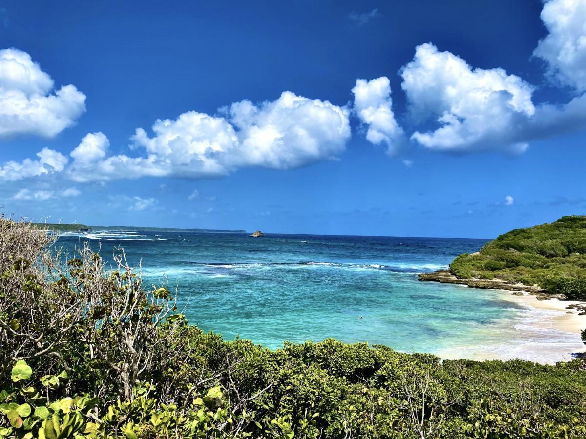 Le Paradis Zen 1Er Etage Et Rdc Vue Plage Et Mer Ste Anne Sainte-Anne  Dış mekan fotoğraf