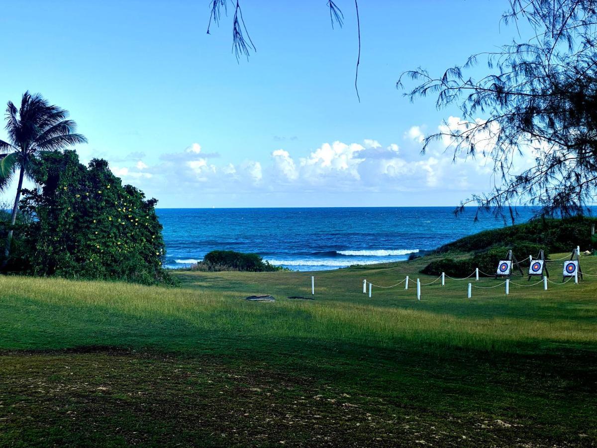 Le Paradis Zen 1Er Etage Et Rdc Vue Plage Et Mer Ste Anne Sainte-Anne  Dış mekan fotoğraf