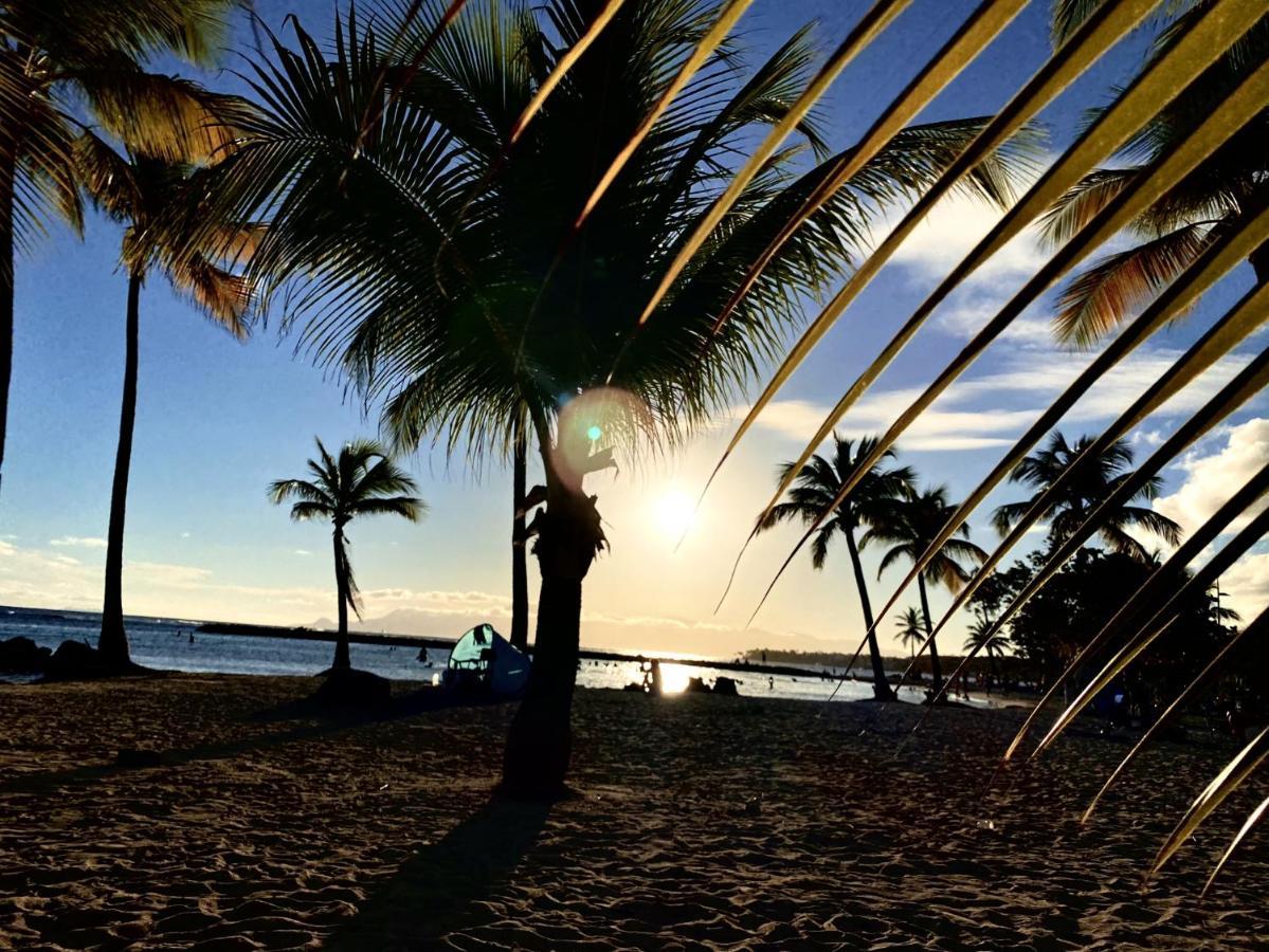 Le Paradis Zen 1Er Etage Et Rdc Vue Plage Et Mer Ste Anne Sainte-Anne  Dış mekan fotoğraf