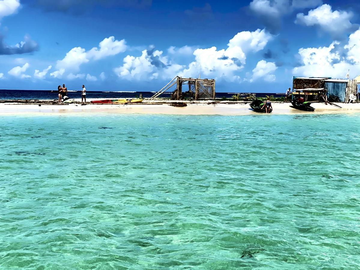 Le Paradis Zen 1Er Etage Et Rdc Vue Plage Et Mer Ste Anne Sainte-Anne  Dış mekan fotoğraf