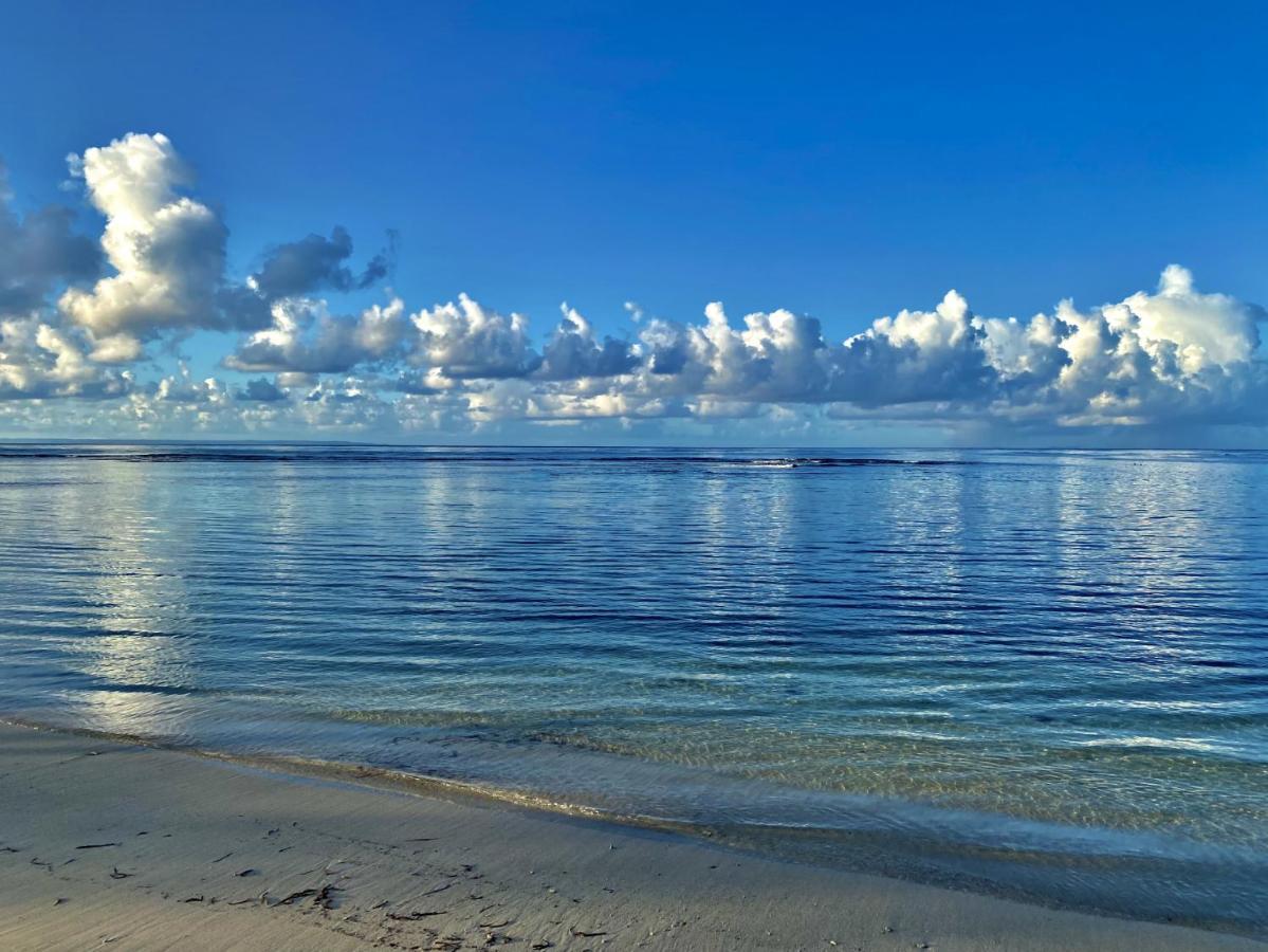 Le Paradis Zen 1Er Etage Et Rdc Vue Plage Et Mer Ste Anne Sainte-Anne  Dış mekan fotoğraf