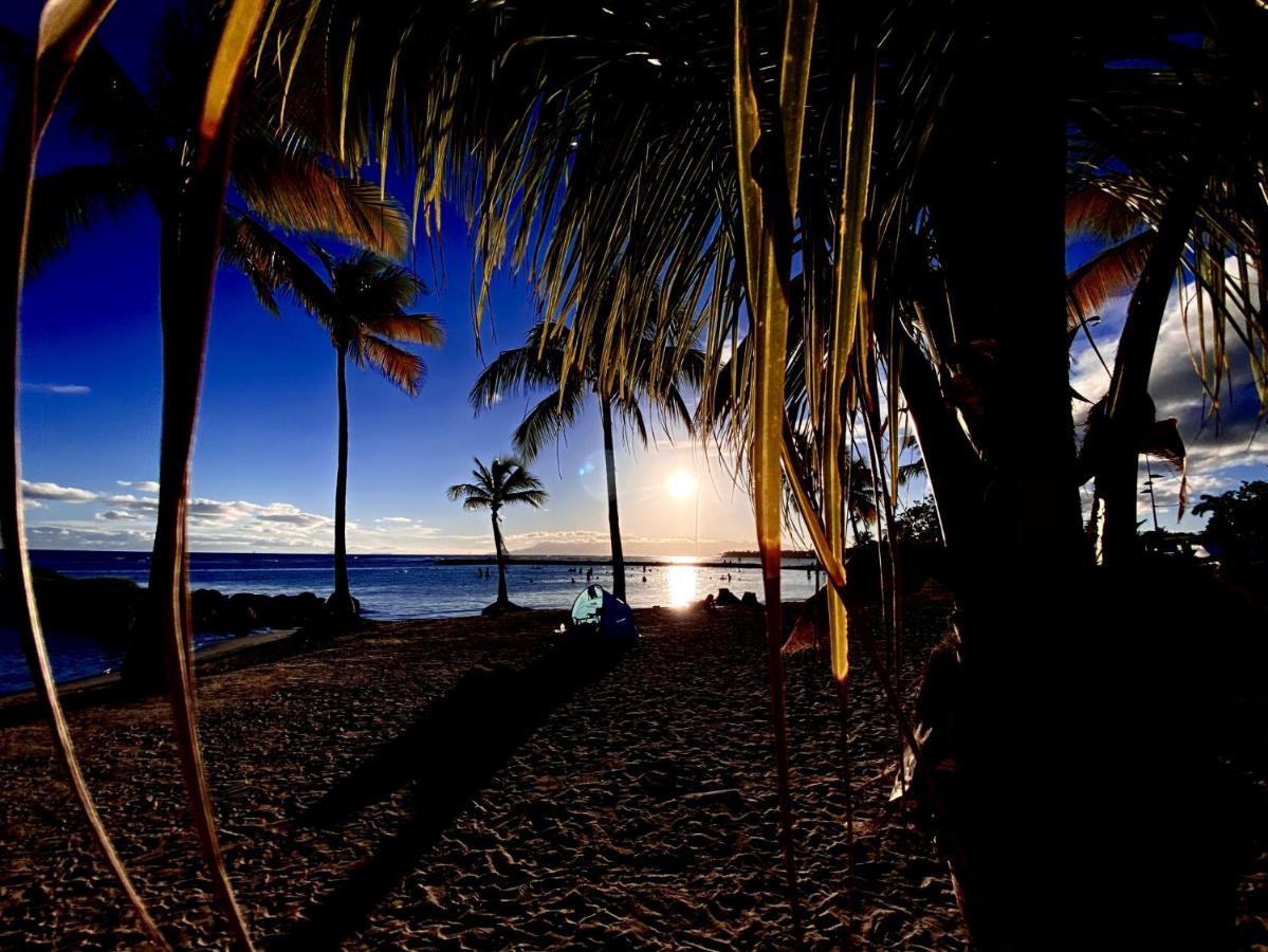 Le Paradis Zen 1Er Etage Et Rdc Vue Plage Et Mer Ste Anne Sainte-Anne  Dış mekan fotoğraf