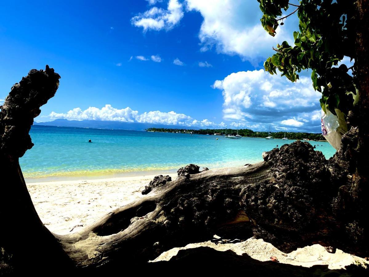 Le Paradis Zen 1Er Etage Et Rdc Vue Plage Et Mer Ste Anne Sainte-Anne  Dış mekan fotoğraf