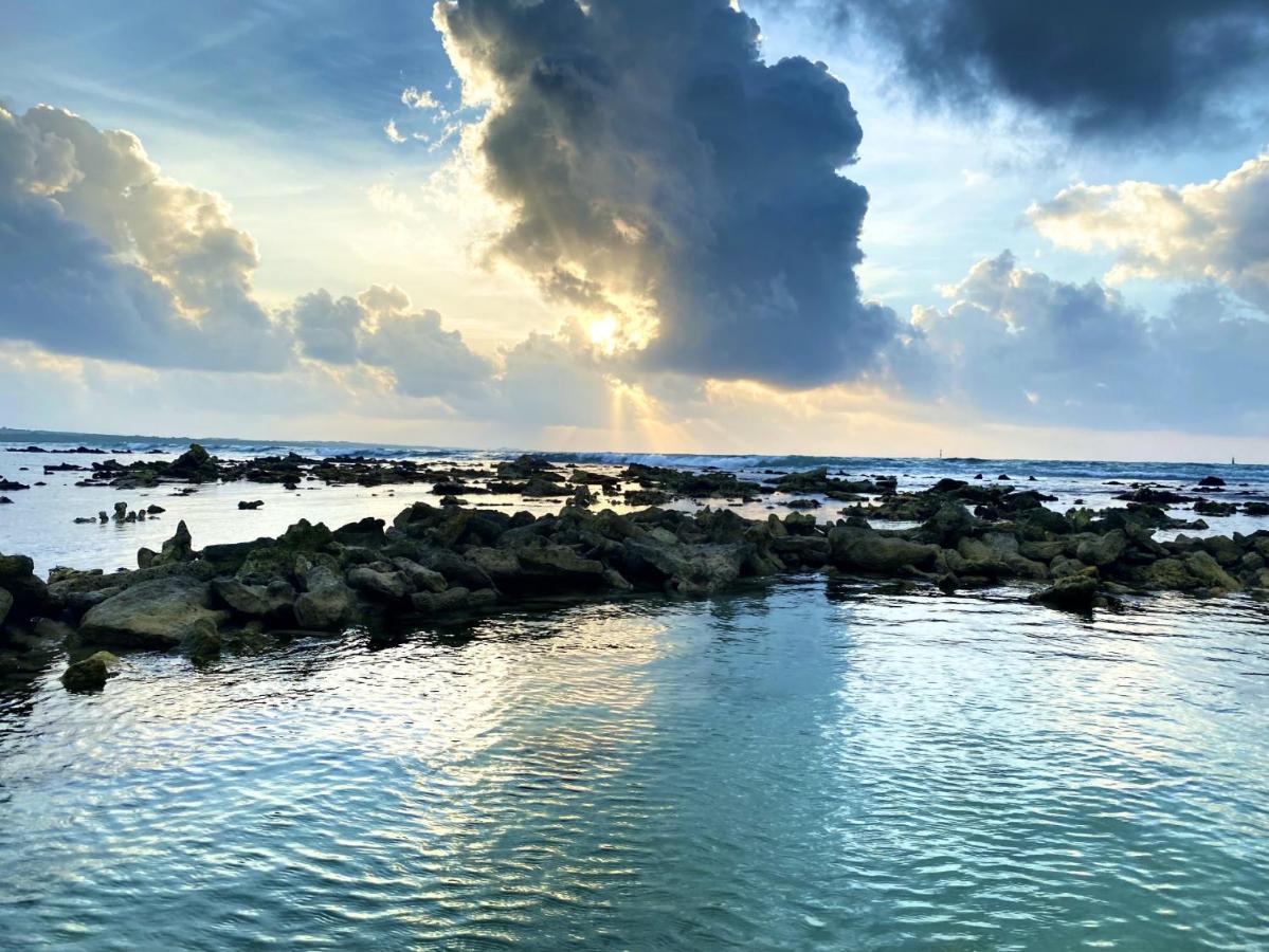 Le Paradis Zen 1Er Etage Et Rdc Vue Plage Et Mer Ste Anne Sainte-Anne  Dış mekan fotoğraf